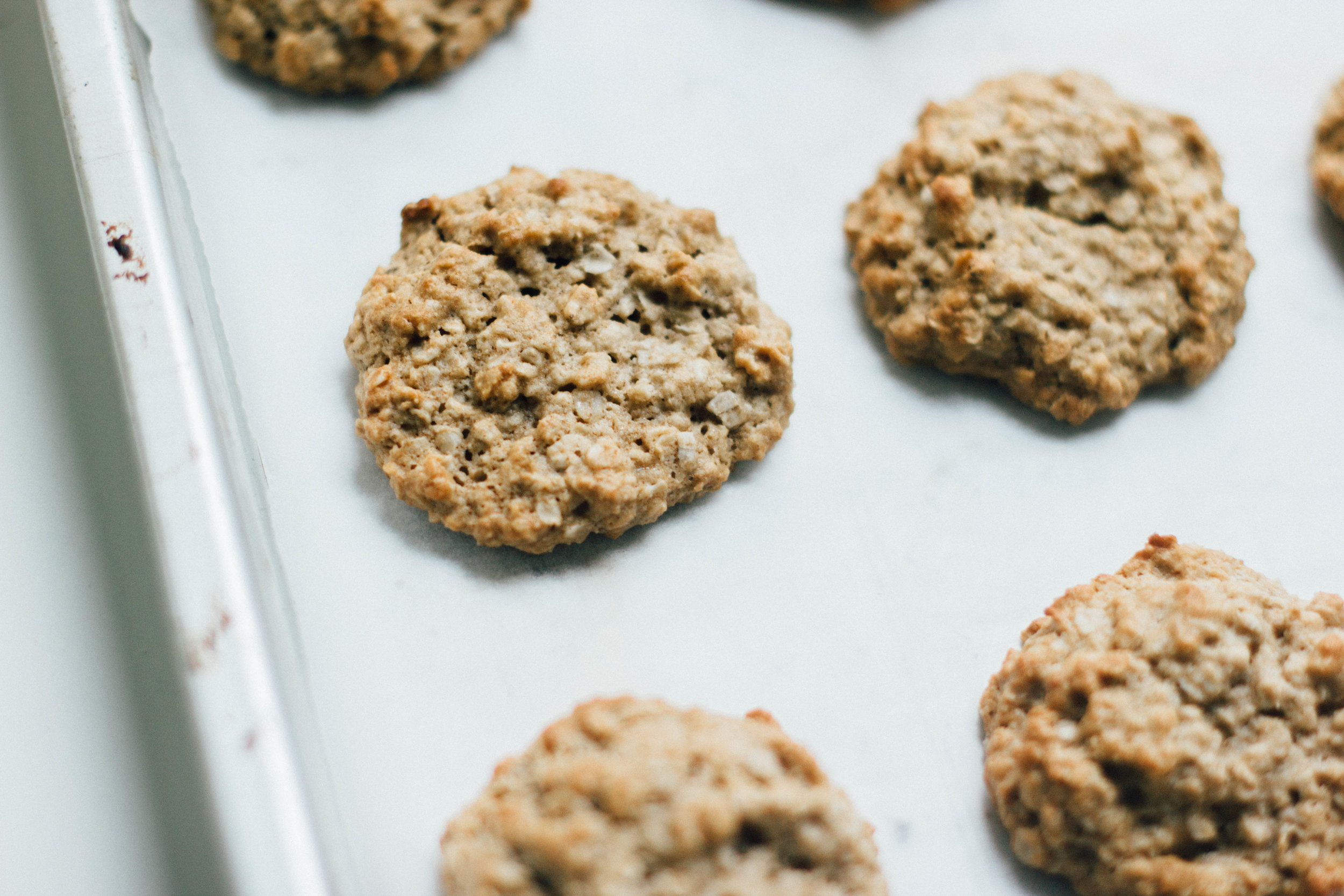 doggie oatmeal ginger cookies