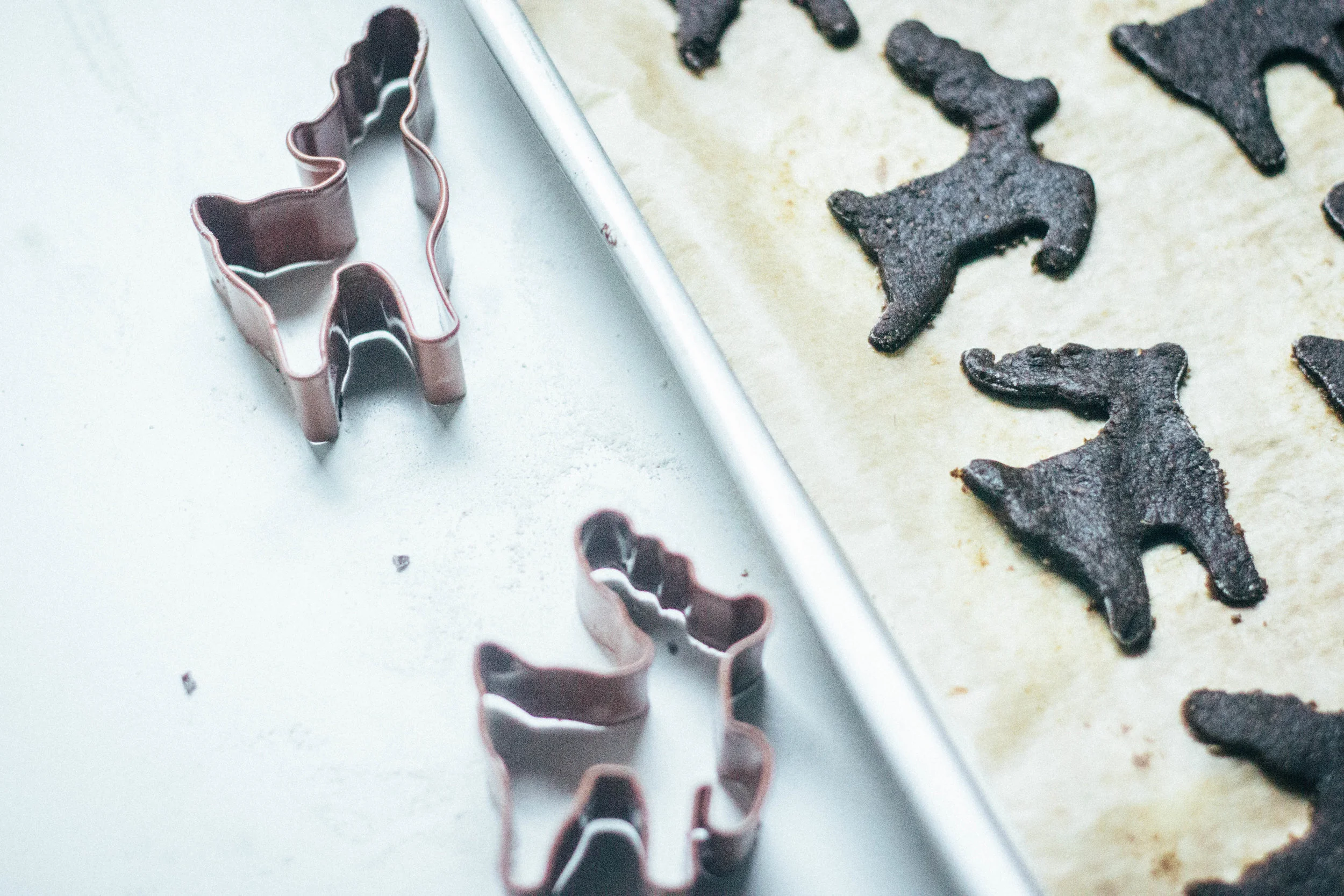 nutmeg and pear|whole grain coconut oil gingerbread cookies - dairy & refined sugar free