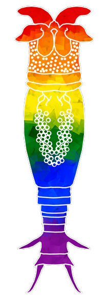 Rainbow Rotifer . Credit: Moiety Mouse