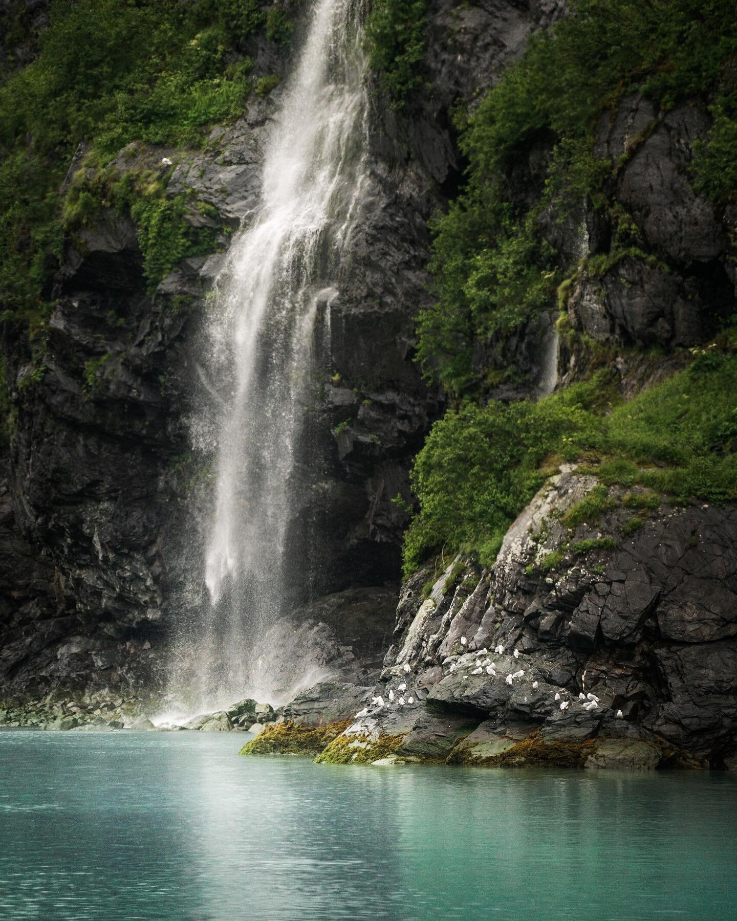 I&rsquo;m baaaaack! Let&rsquo;s see if I can even figure out how to post in instagram now 😵&zwj;💫 After digging through thousands on thousands of files, and exploring Patagonia, Costa Rica and elsewhere I&rsquo;m stoked to start posting again. Here