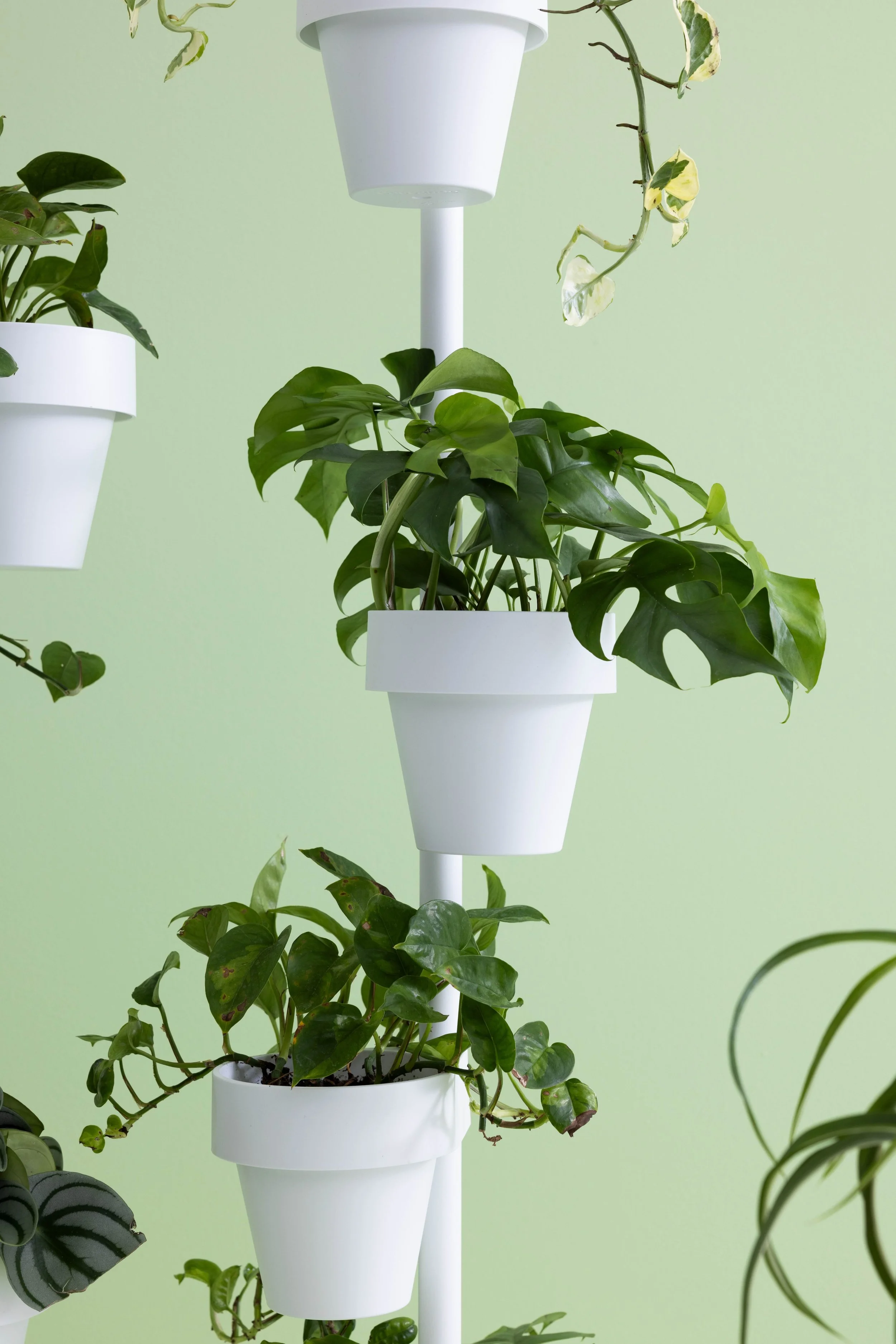 Slide triple deatil.jpeg