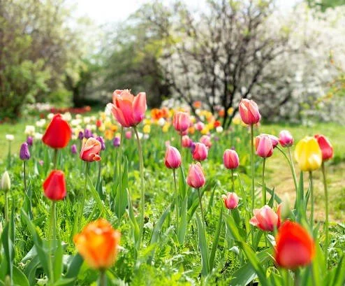 March is here - a new month, a fresh start, and another opportunity to make positive change.

At Druglink, we know that recovery isn&rsquo;t about perfection - it&rsquo;s about progress. Every step forward, no matter how small, is something to be pro