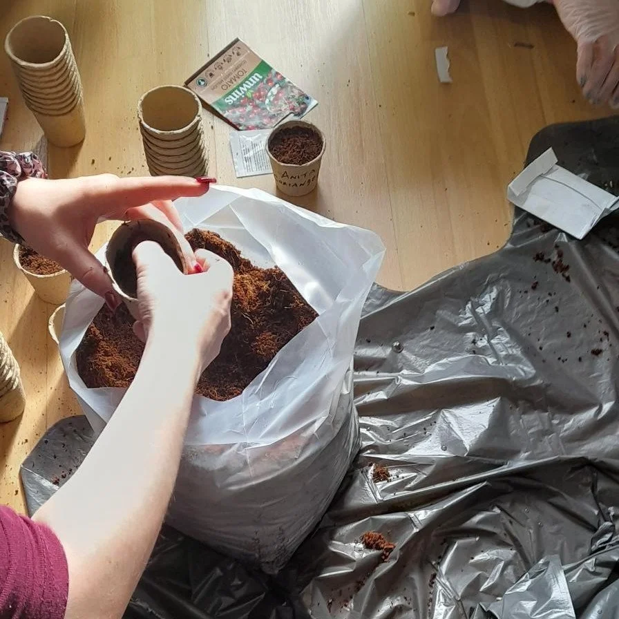 A great afternoon at Druglink&rsquo;s Safer Places service!

Clients planted herbs, tomatoes and sunflowers ready for late spring and summer. For some it was their first time planting seeds, while others shared their experience and helped out.

There