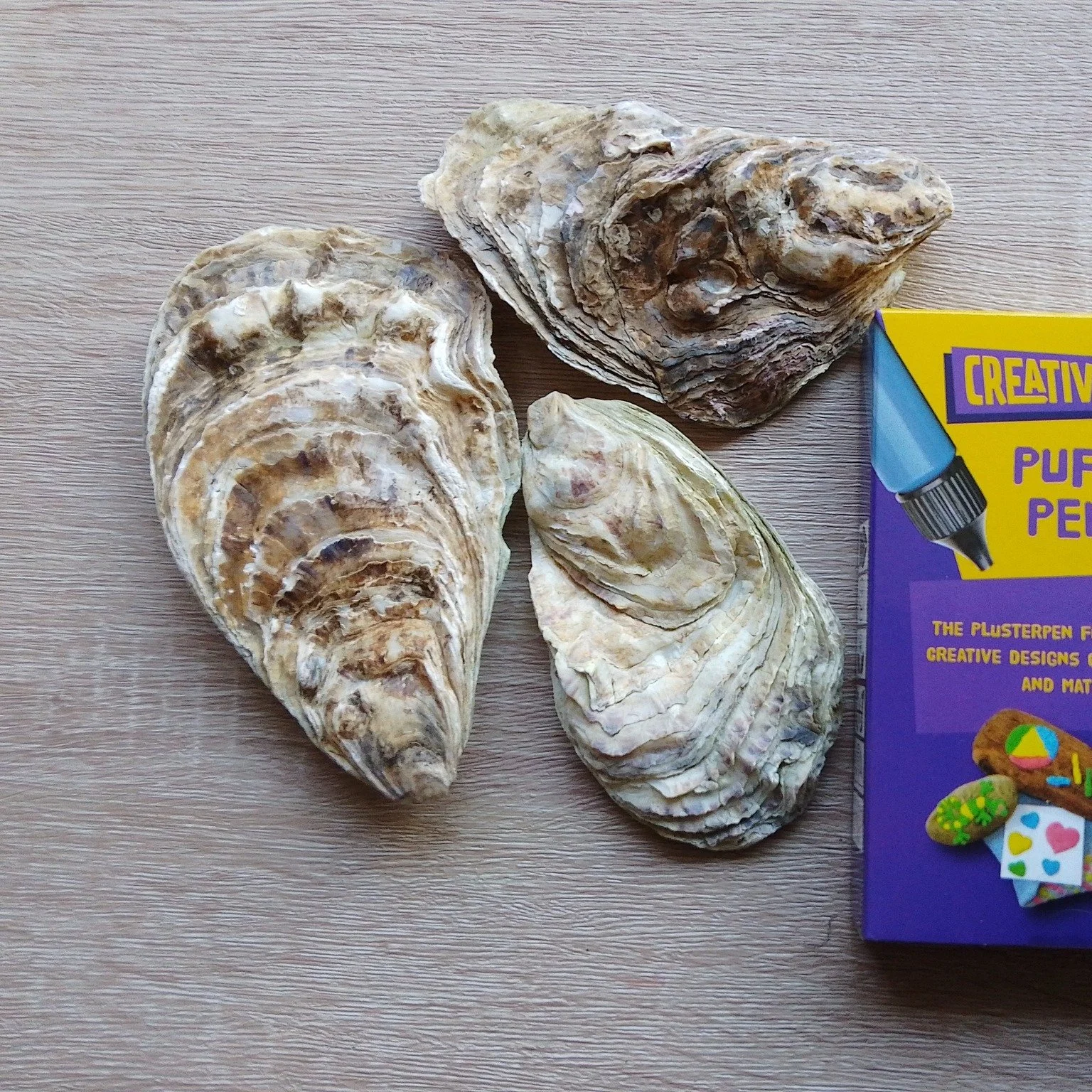 The sun is shining and our Safer Places clients are getting in the mood for summer by decorating seashells - and even planning a trip to the seaside! 

A lovely way to get creative, lift moods, and look forward to brighter days ahead 💜💙💚