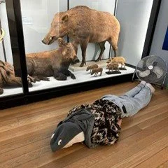 Yesterday, some of our clients enjoyed a fantastic trip to Tring Museum! 🏛️

It was a chance to switch off from everyday worries, have some fun, and embrace their inner &ldquo;big kids&rdquo; while exploring everything the museum had to offer. Recov