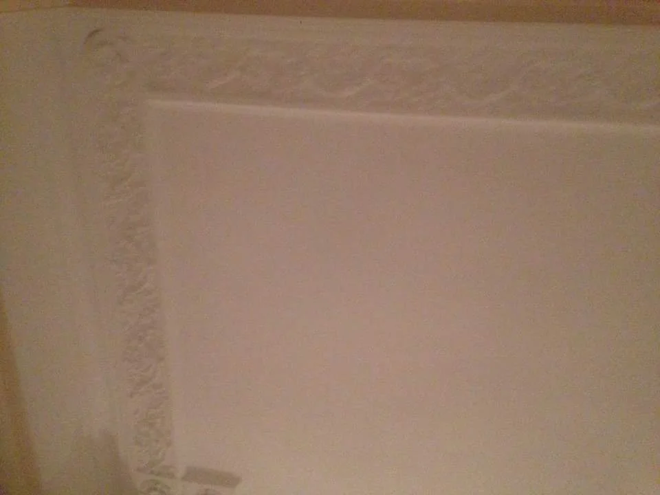Adelaide crescent ceiling finished.jpeg
