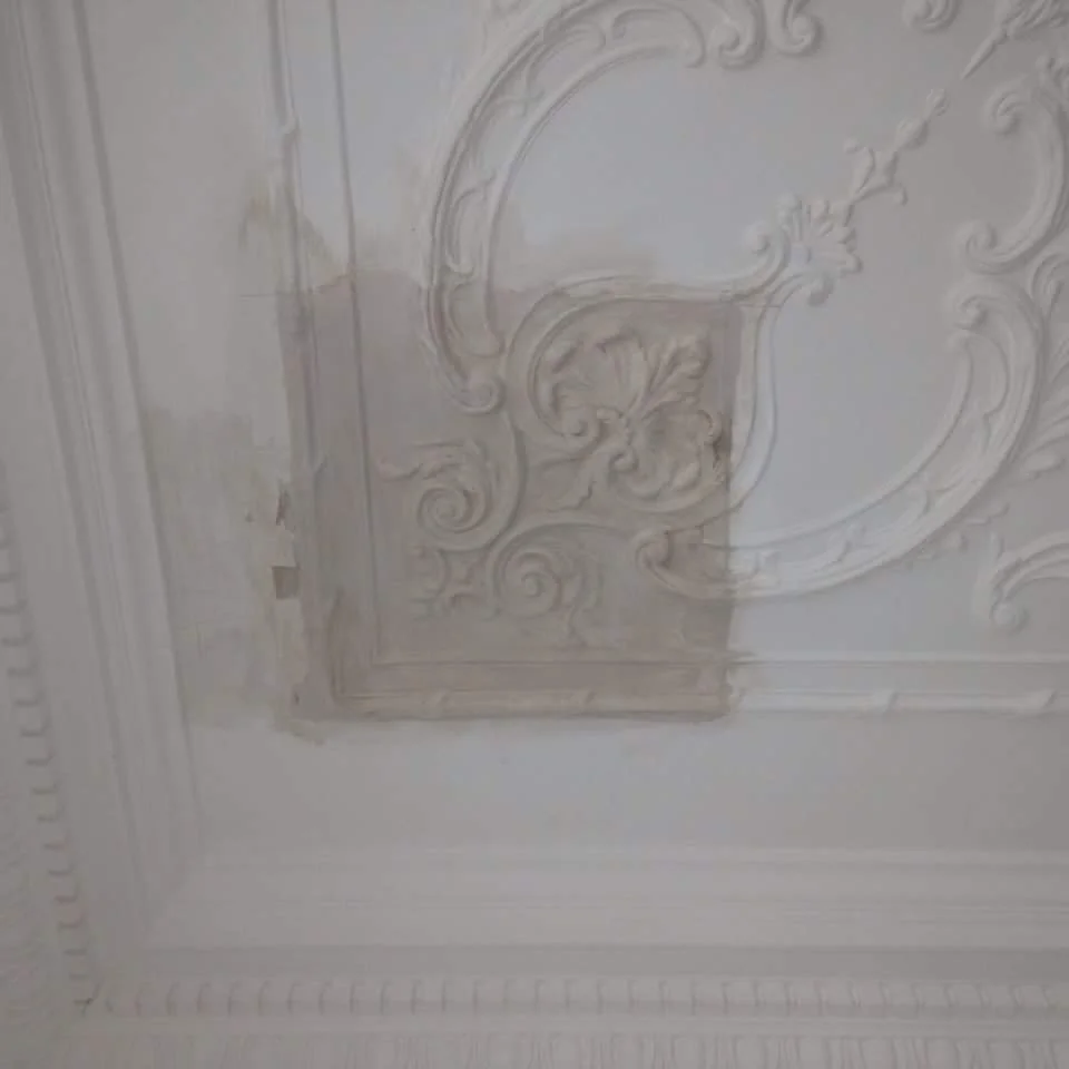 Matching a ceiling mould in house in Kemptown.jpeg