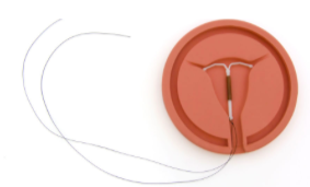 BLOG_ Pumping Our Bodies with Hormones Shouldn’t be the Default_ Photo 4.png