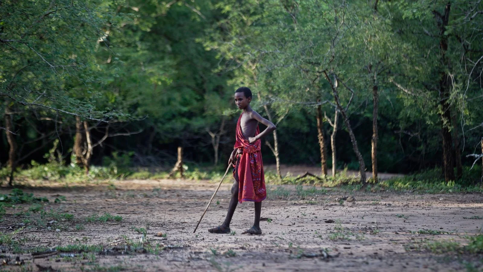 Maasai.jpg