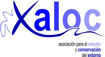 Xaloc
