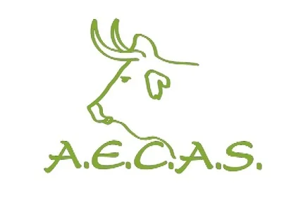 AECAS