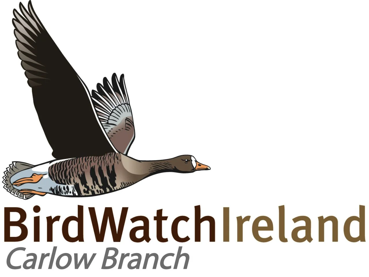 BirdWatch Ireland - Carlow Branch