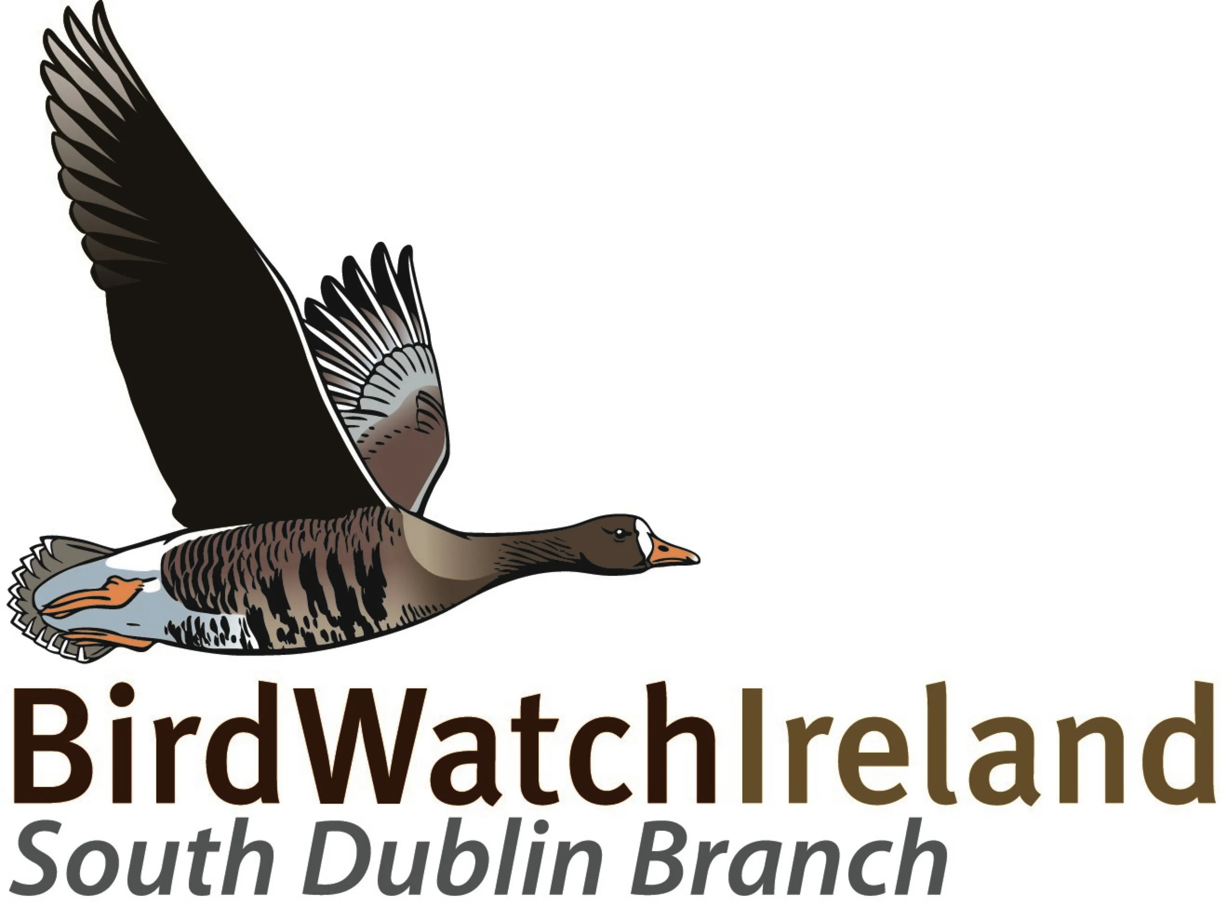 BirdWatch Ireland - South Dublin Branch