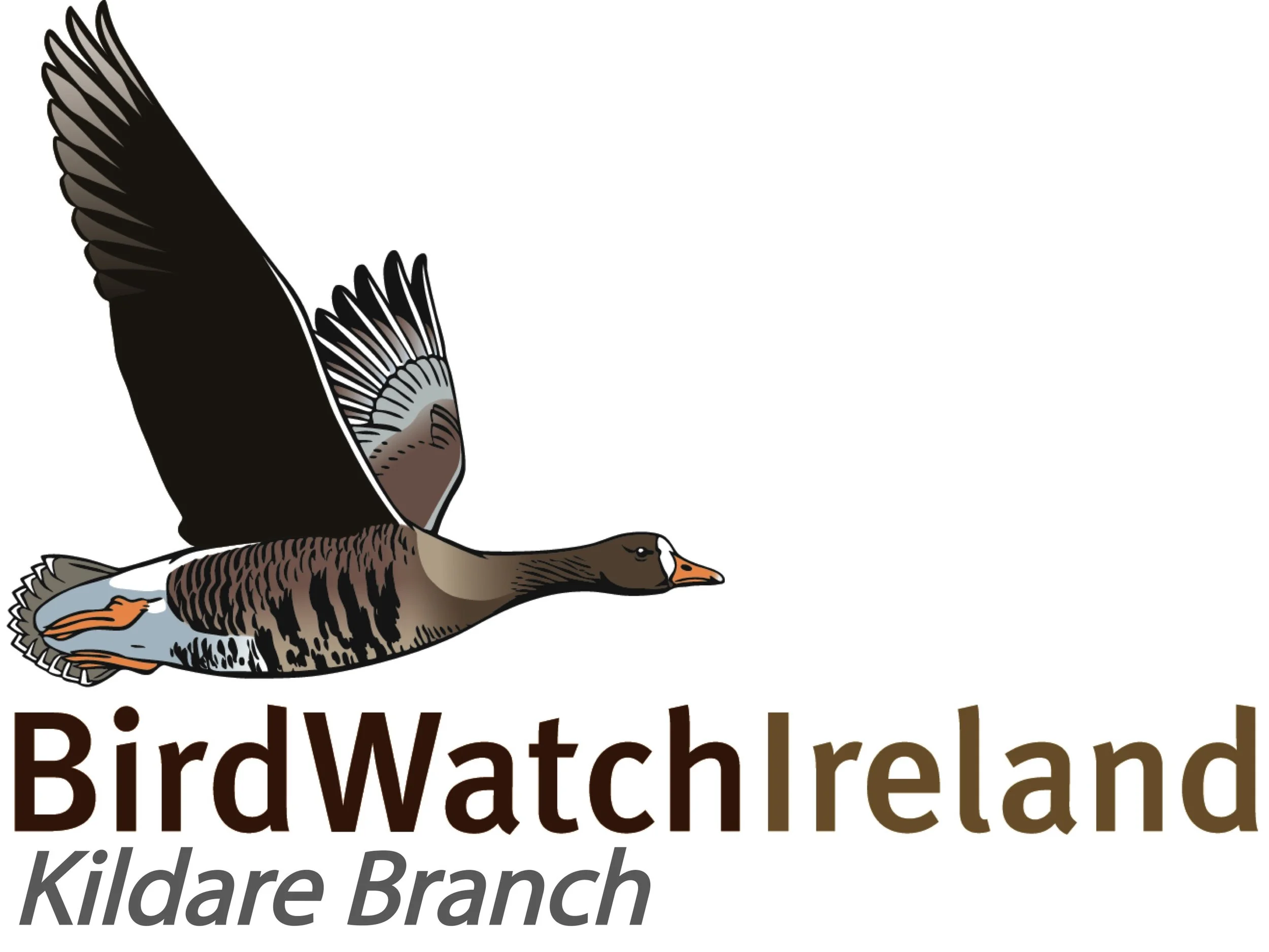 Birdwatch Ireland Kildare Branch