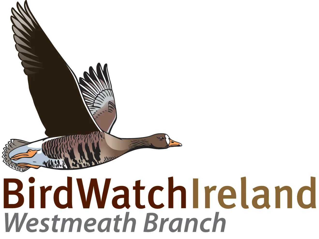 BirdWatch Ireland Westmeath Branch