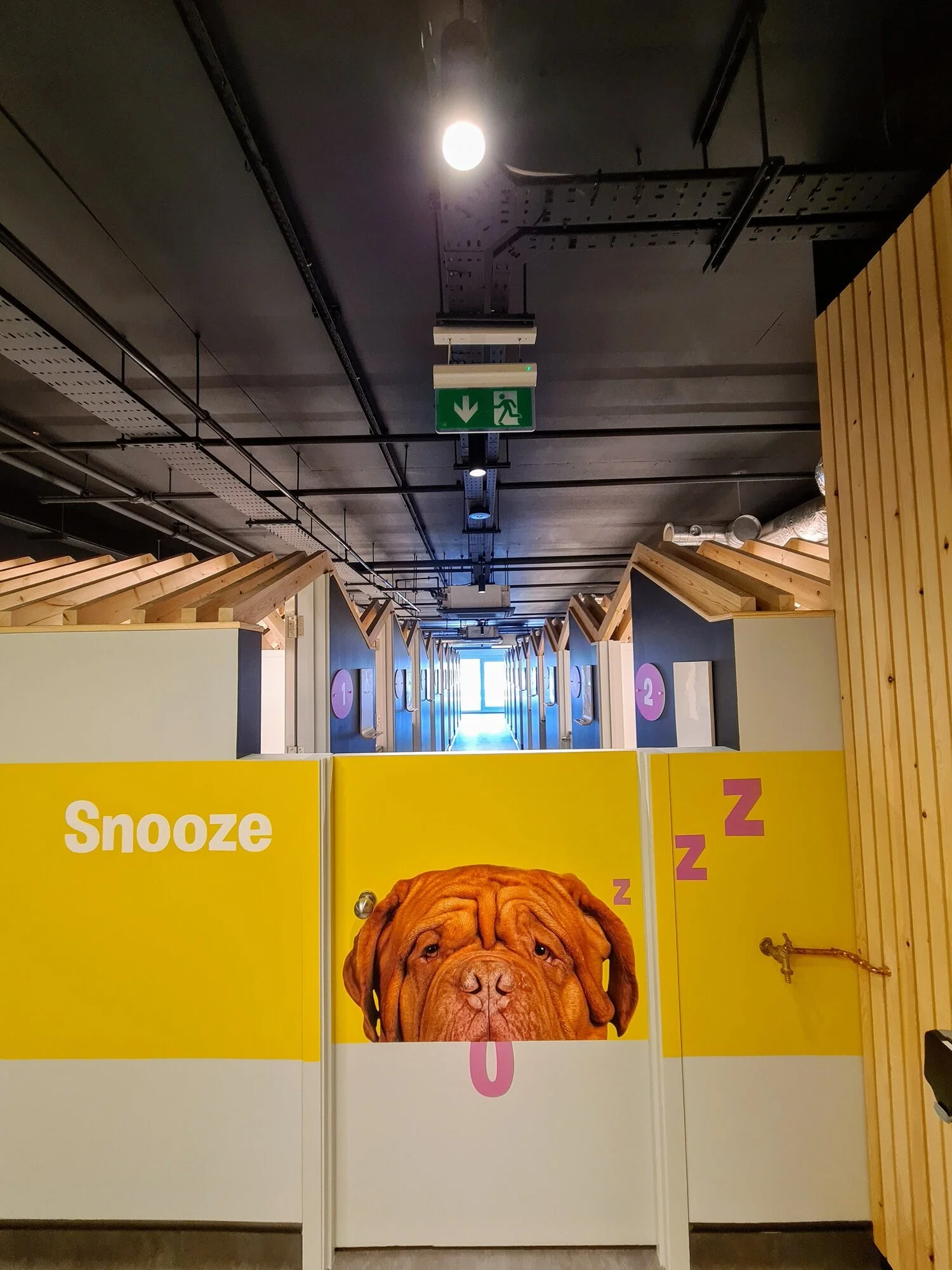 Urban Mutts dog daycare interior 3 - project management, quantity surveying and cdm services