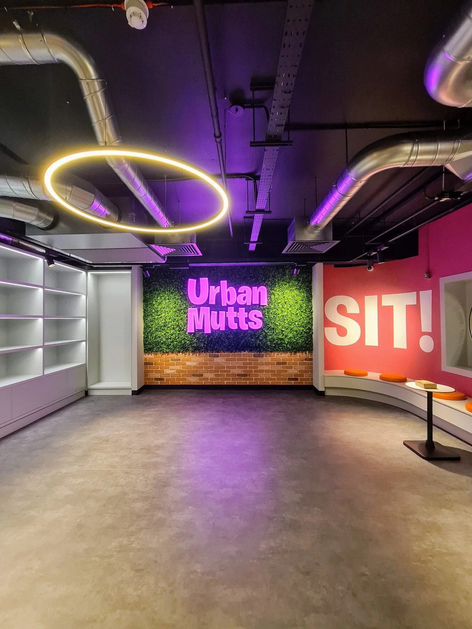 Urban Mutts dog daycare sign - project management, quantity surveying and cdm services