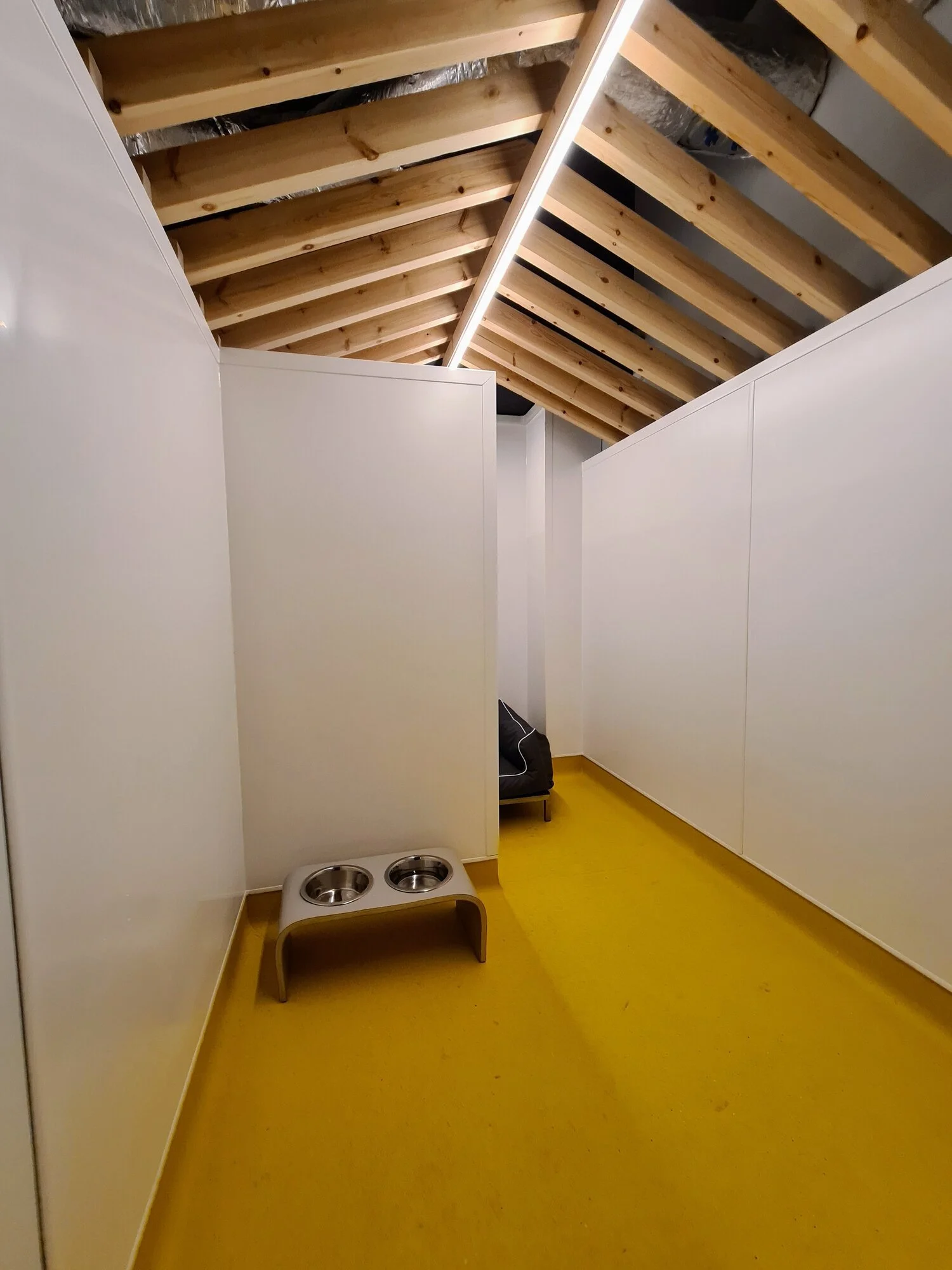 Urban Mutts dog daycare interior 4 - project management, quantity surveying and cdm services