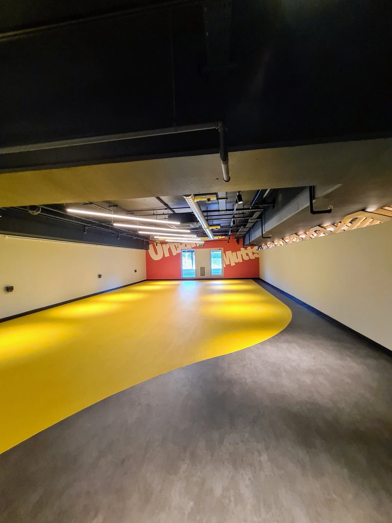 Urban Mutts dog daycare interior 5 - project management, quantity surveying and cdm services