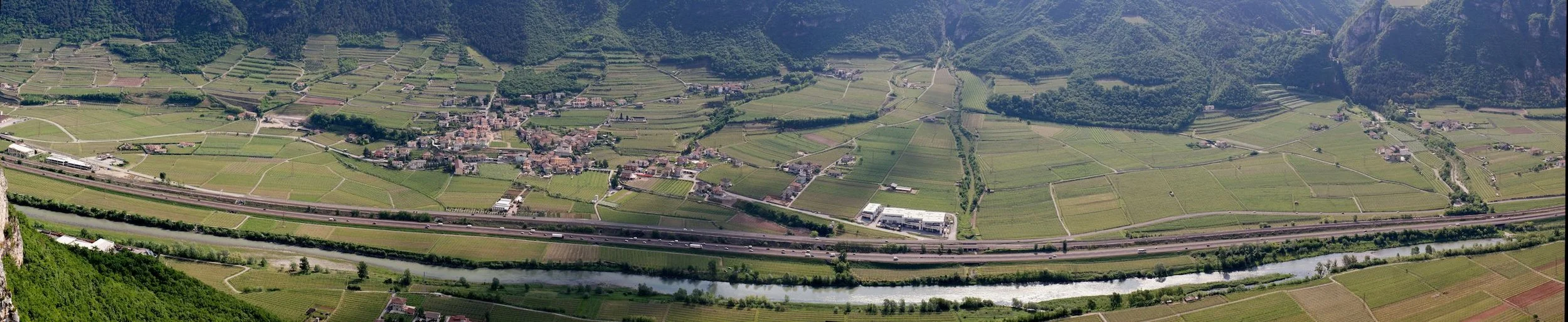 Primavera