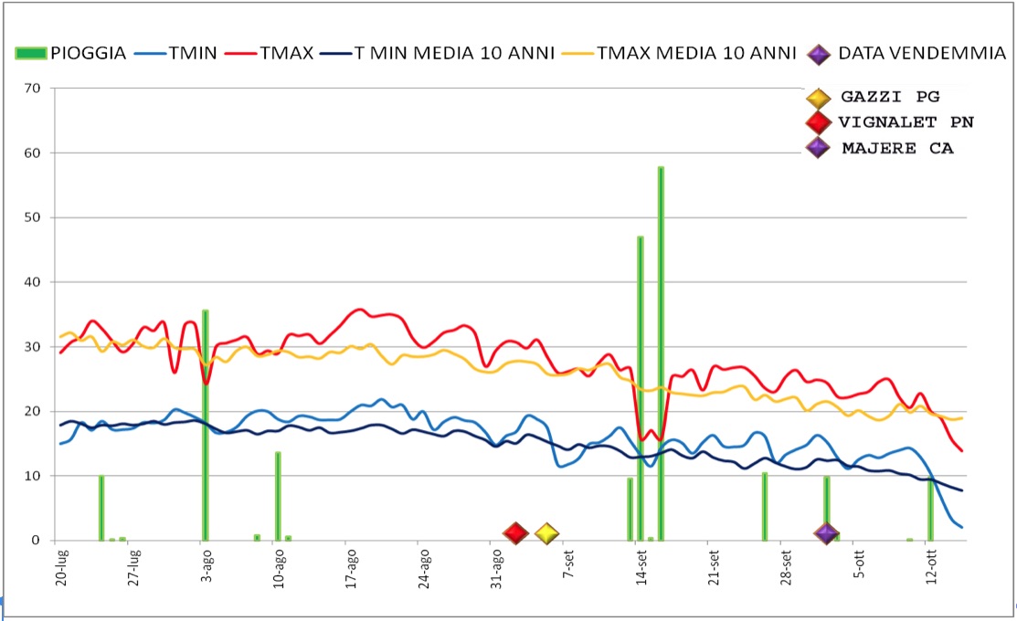 Il grafico rappresenta l’andamento di pioggia e temperature durante i mesi di agosto e settembre, in cui avviene la maturazione delle uve, confrontati con i valori medi delle ultime dieci annate.