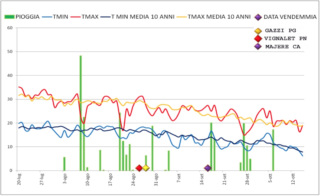 Il grafico rappresenta l’andamento di pioggia e temperature durante i mesi di agosto e settembre, in cui avviene la maturazione delle uve, confrontati con i valori medi delle ultime dieci annate.