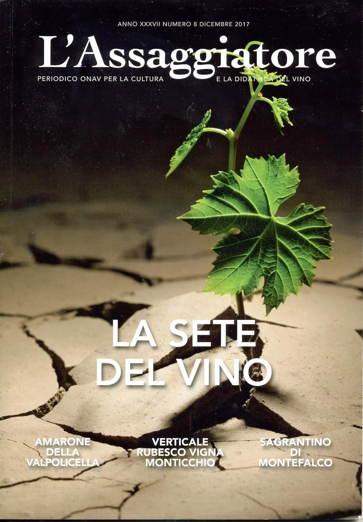 Dicono di Noi... L'Assaggiatore parla della Casetta