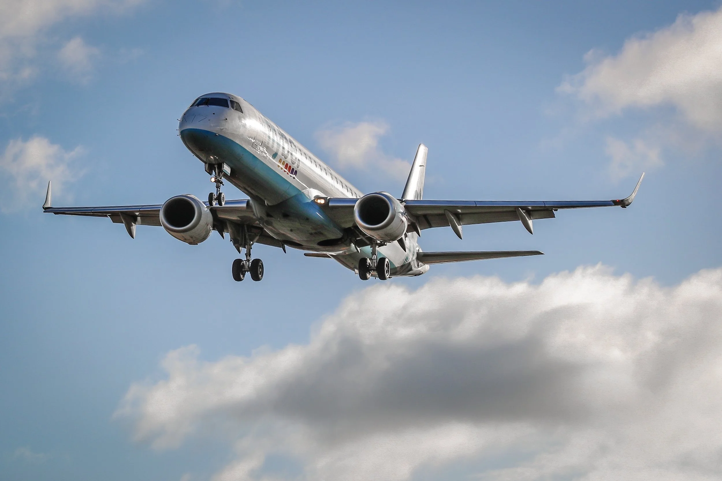 Fly be Edit 3 (1 of 1).jpg