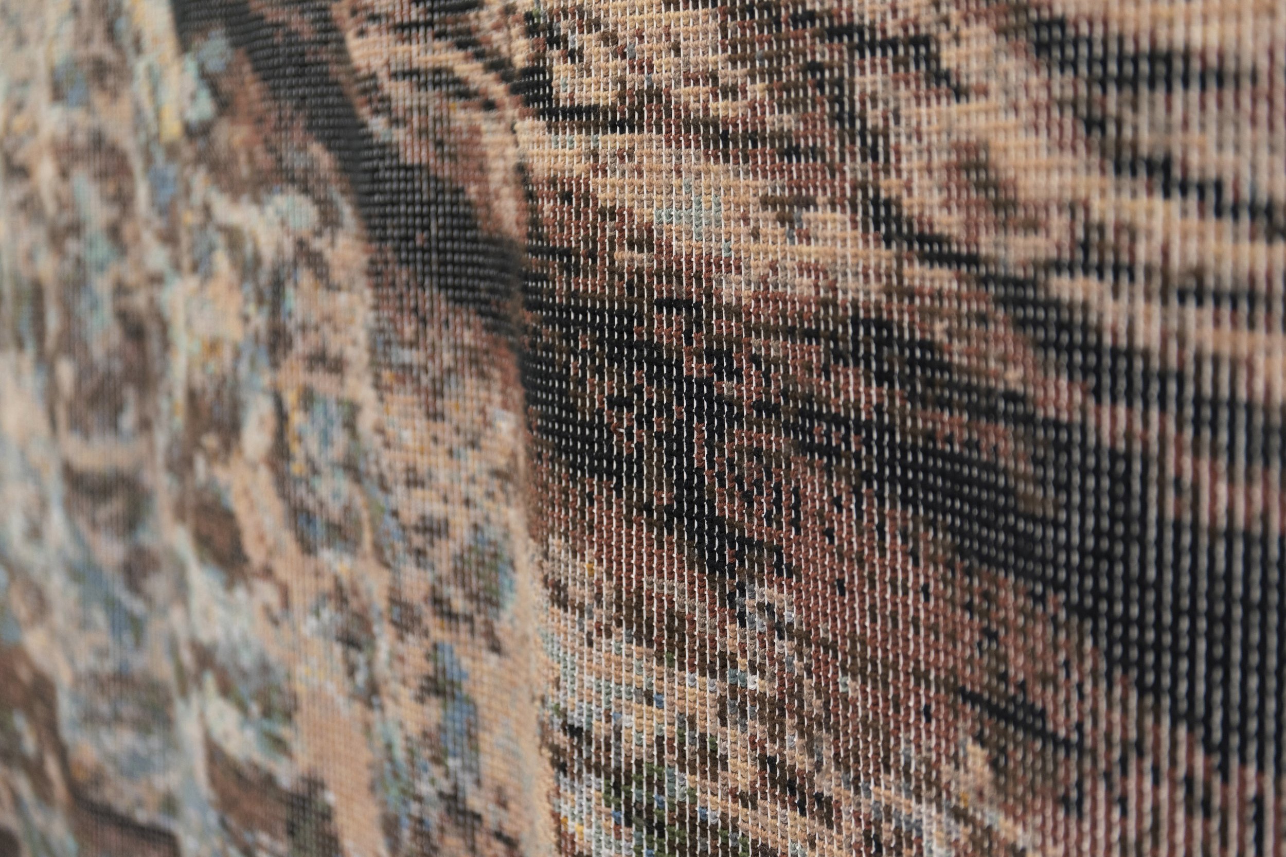 Detail of Siccar Point, 2019, hand knotted tapestry, steel, 145 x 230 cm.jpg