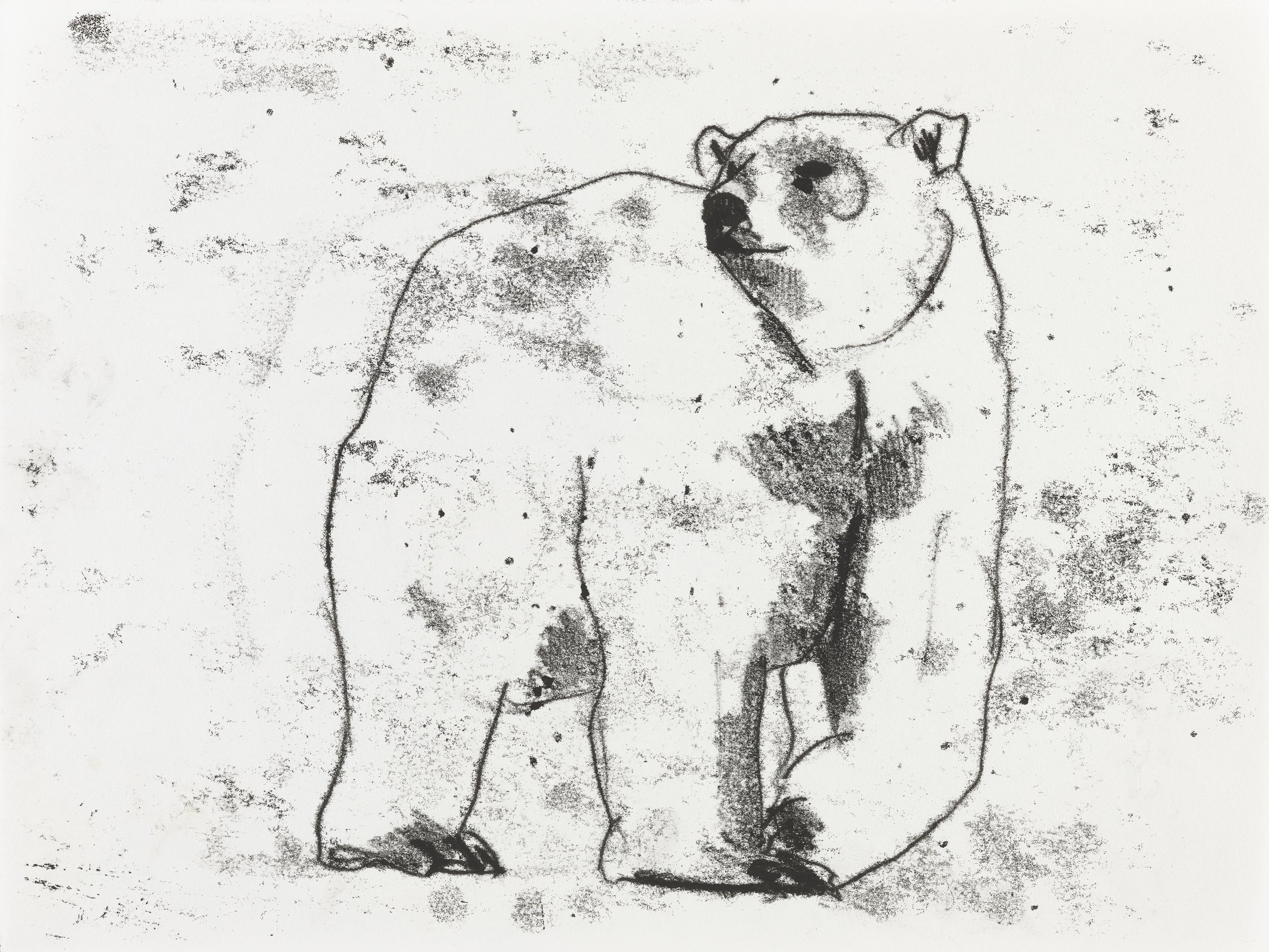 Detail of Drawing from Leila and the Blue Fox (48), 2021, Monotype Print on Paper, 24x32cm.jpg