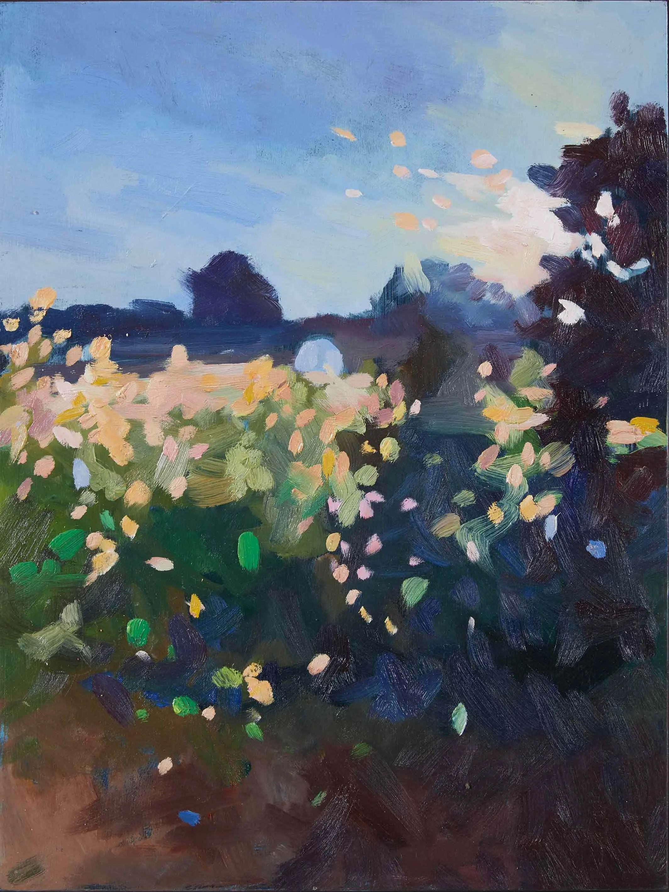 Emerging Light