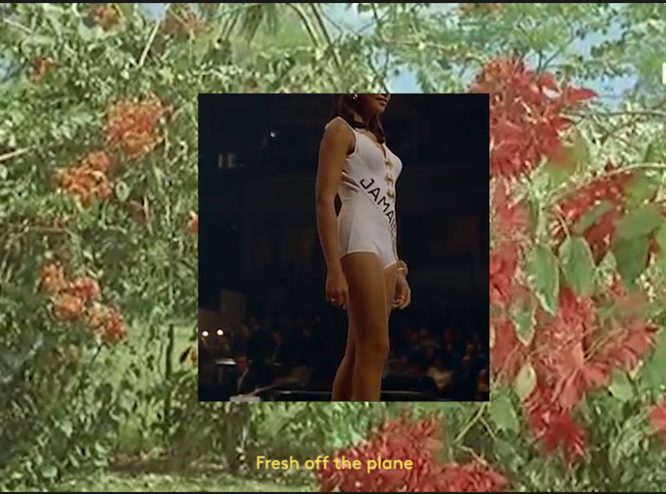 Screen Shot 2017-11-24 at 17.46.37.png