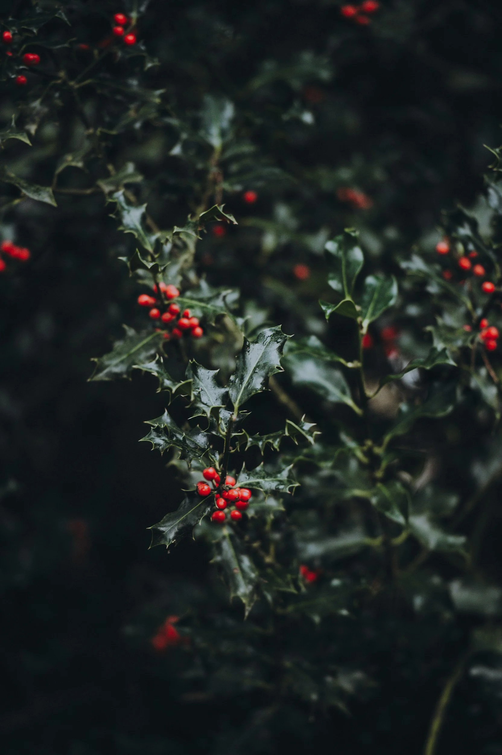 unsplash-image-_OI3aPBGfQU.jpg