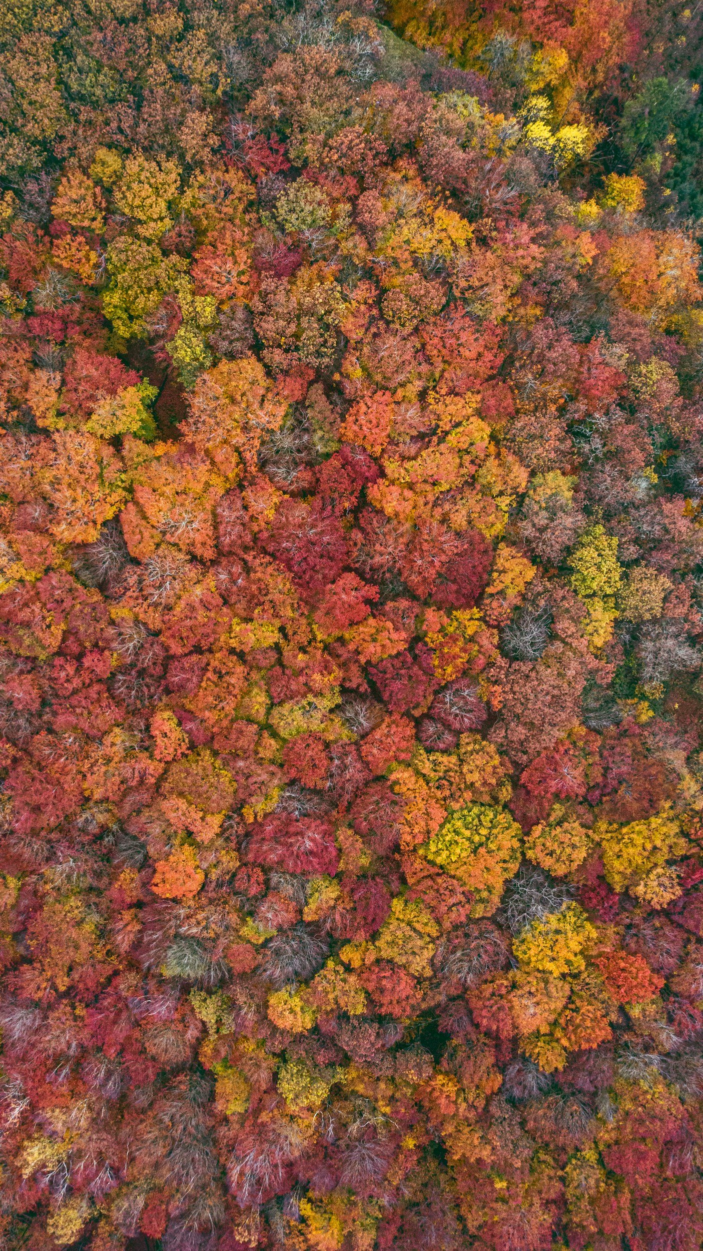 unsplash-image-DrxMi4YzDu4.jpg