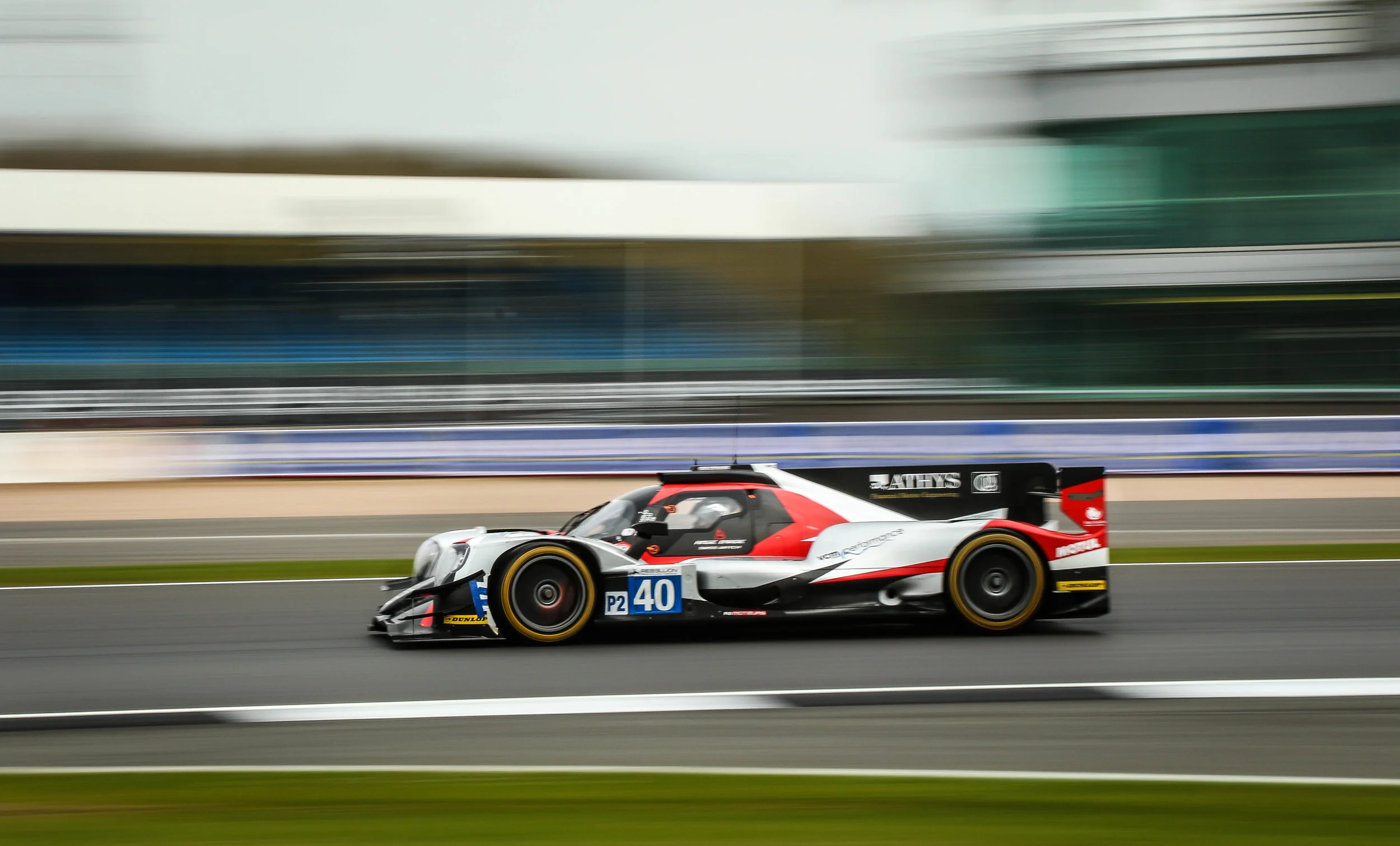 elms-p-7.jpg