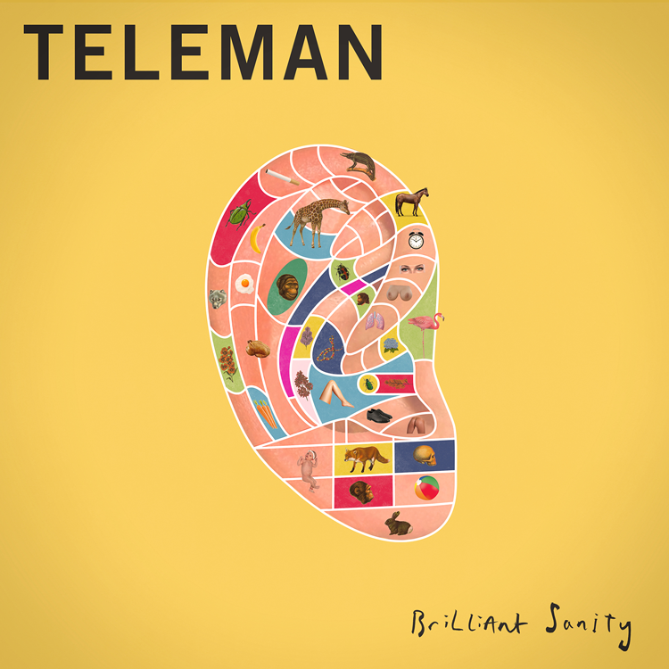 BrilliantSanity_Cover_noborder.png