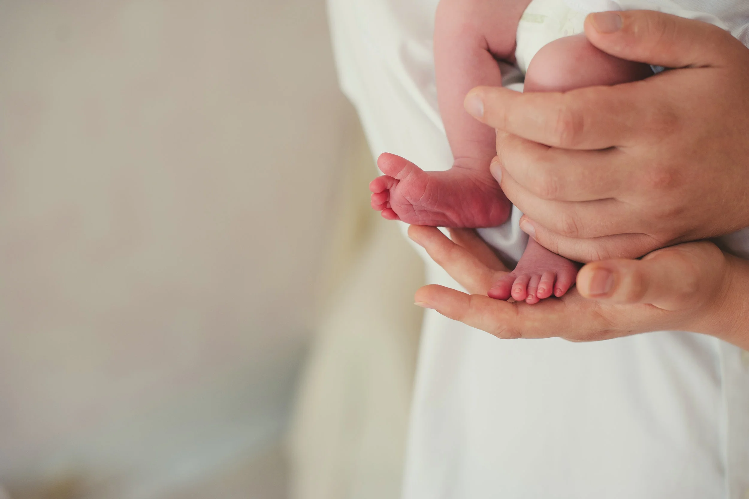 AdobeStock_81355057.jpeg