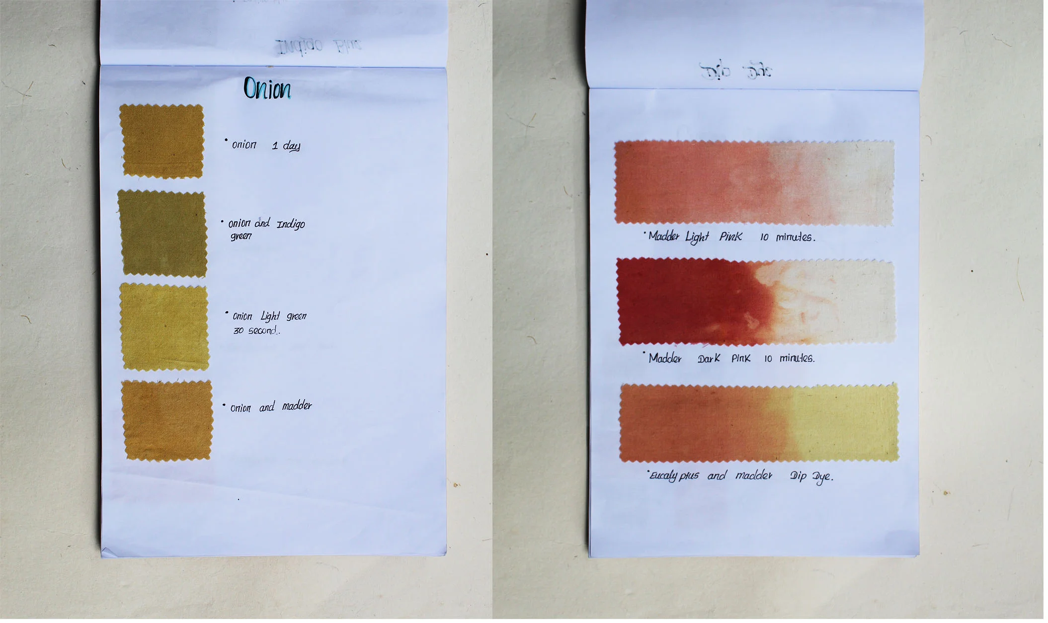 Dye book blog.jpg
