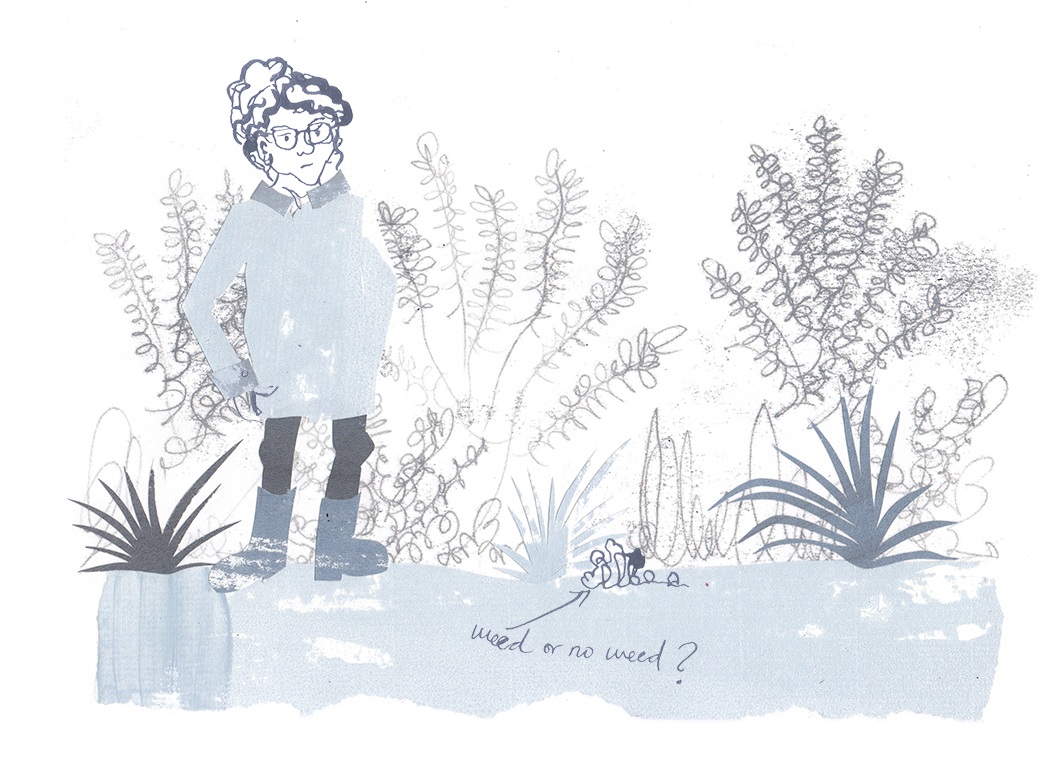 Gardening for beginners