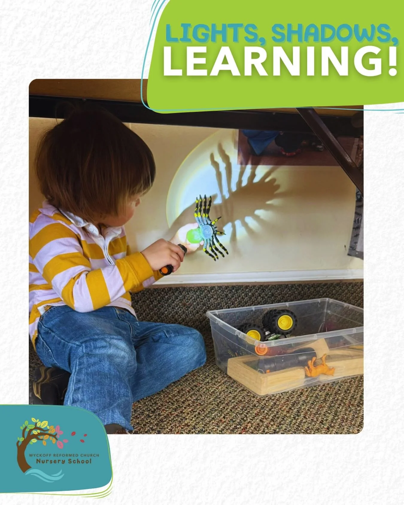 Light, Shadows, Learning ✨

The Yellow Room dove into hands-on discovery as students explored light and shadow at our shadow station. By experimenting with different objects and distances, they discovered that the closer an object is to a light sourc