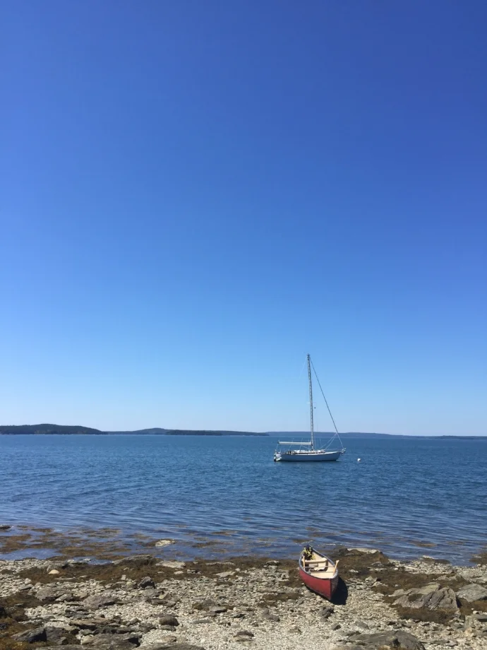 IMG_4884.jpg