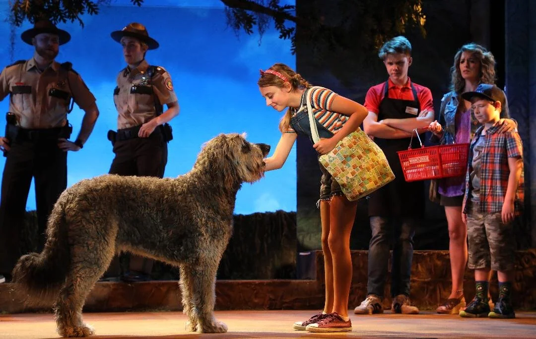 Connecticut Critics Salutes Artists of 2019-20 Theater Season