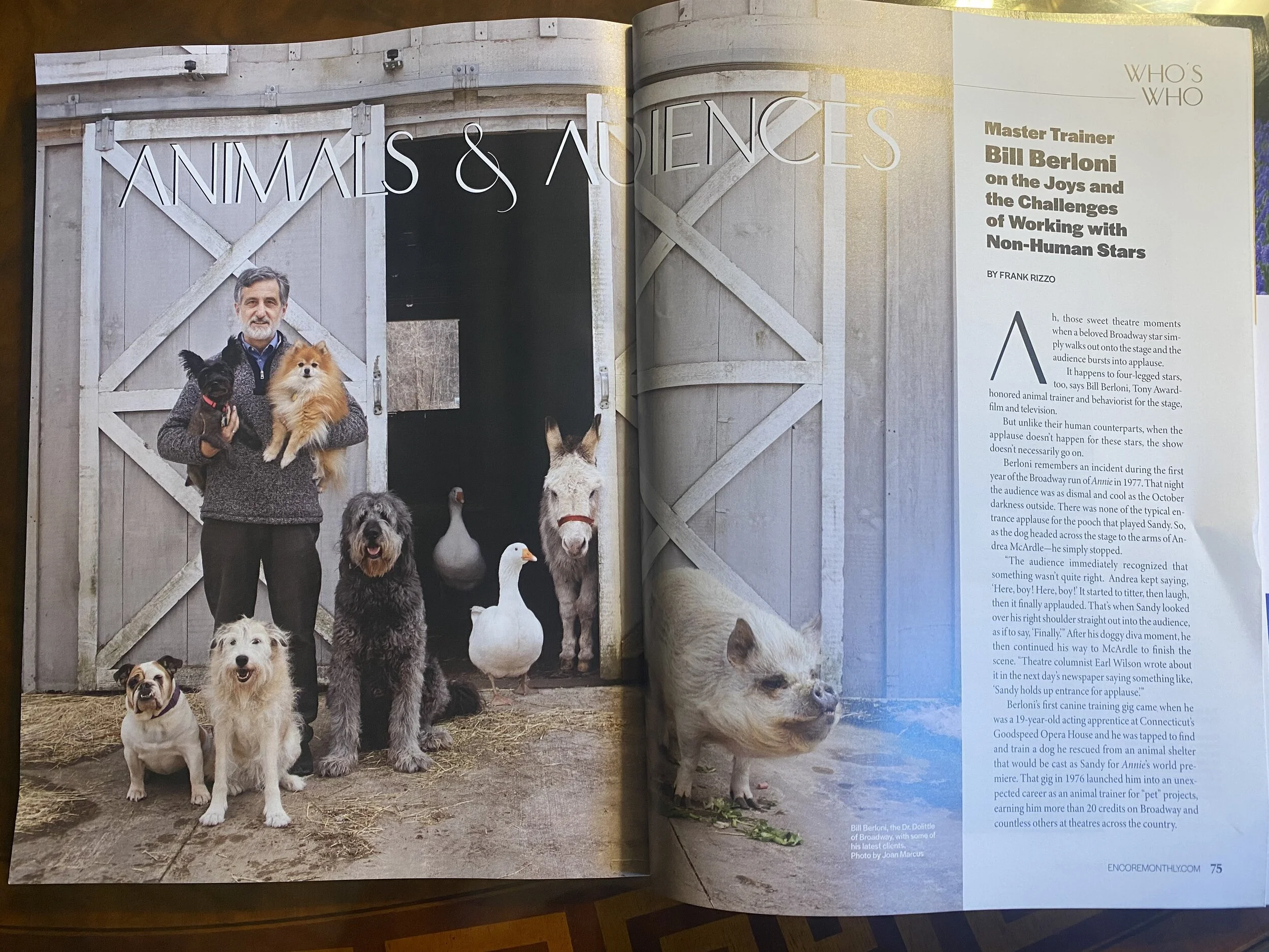 Animals and Audiences 