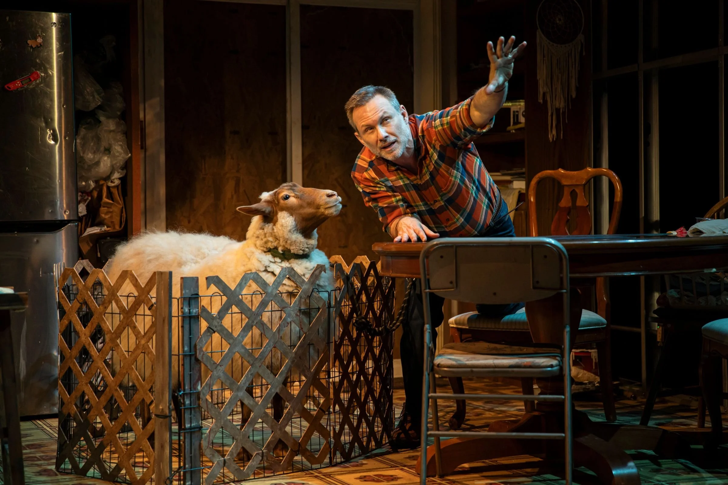 My Own Take: Off-Broadway's "Curse of the Starving Class" 