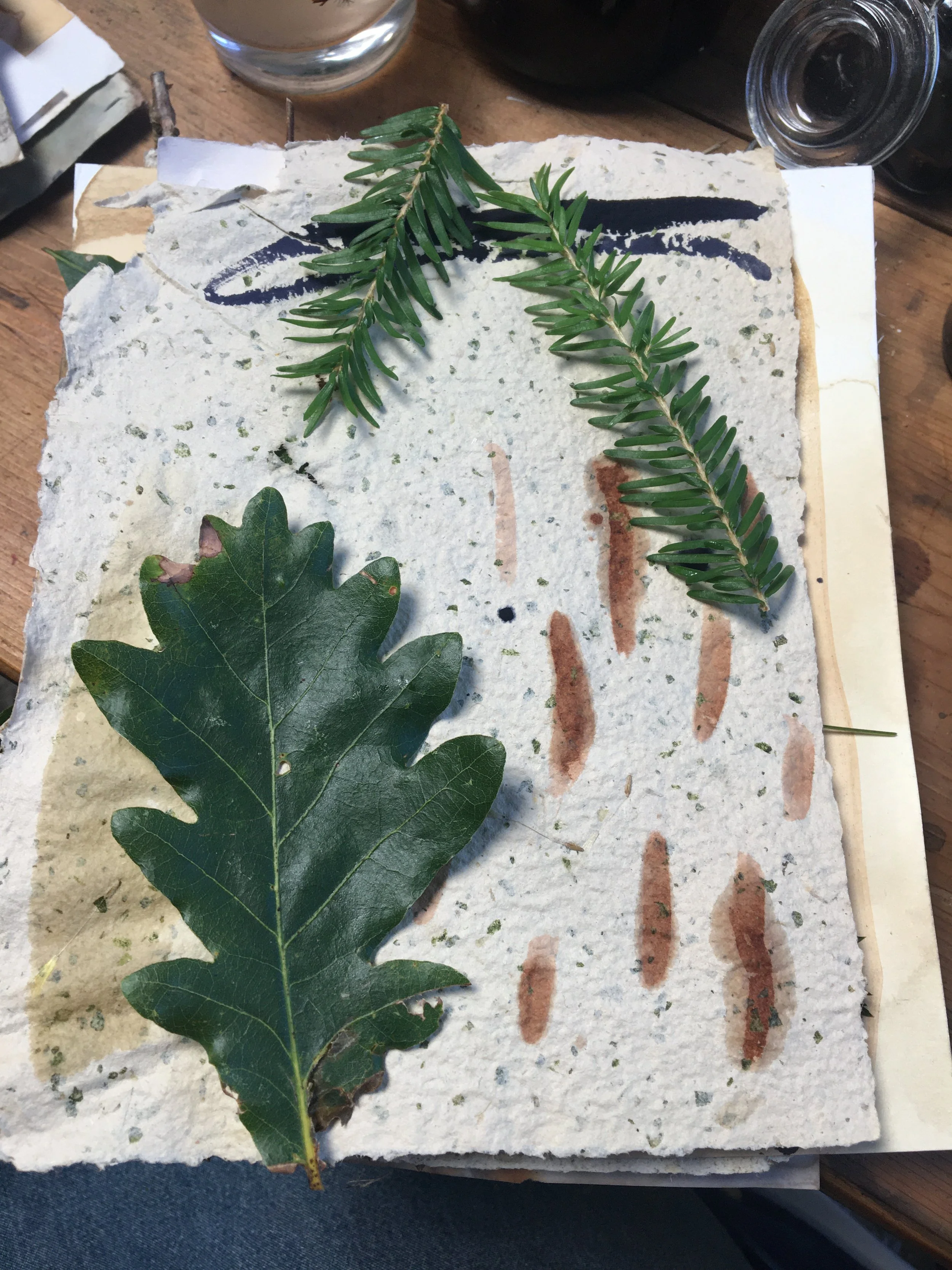 Nature Based Creativity and Art making: including crafting creative materials - GRACEFIELD ARTS CENTRE, 19th/20th/21st August