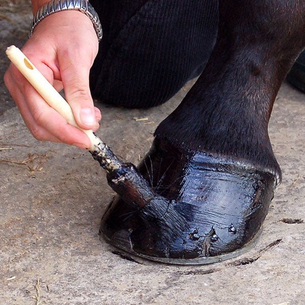 Pine-Tar-Hoof-Dressing_720x.jpg