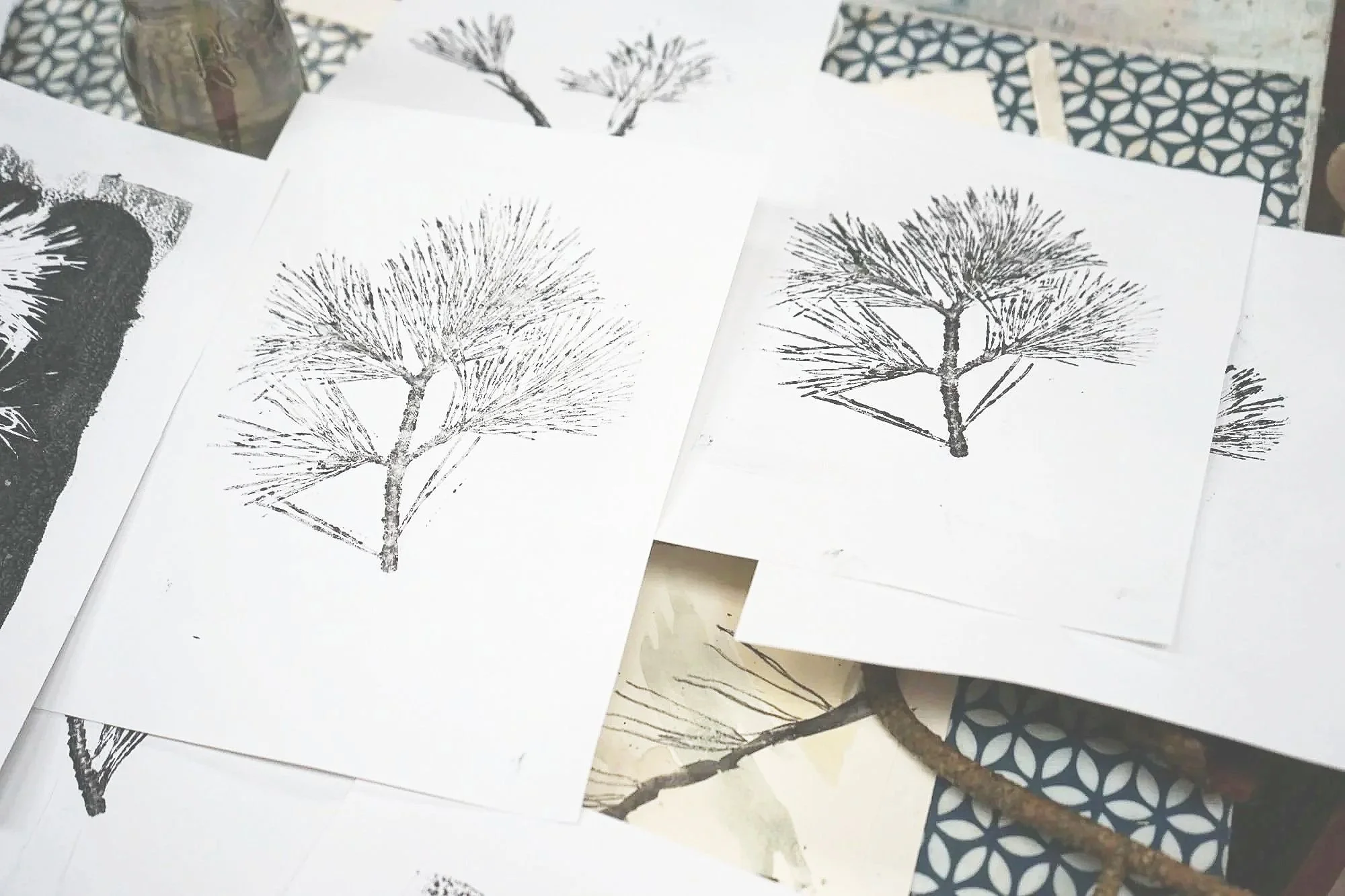 Trysting Trees: SCOTS PINE and JUNIPER, LOGIE STEADING (FORRES), 25th Oct