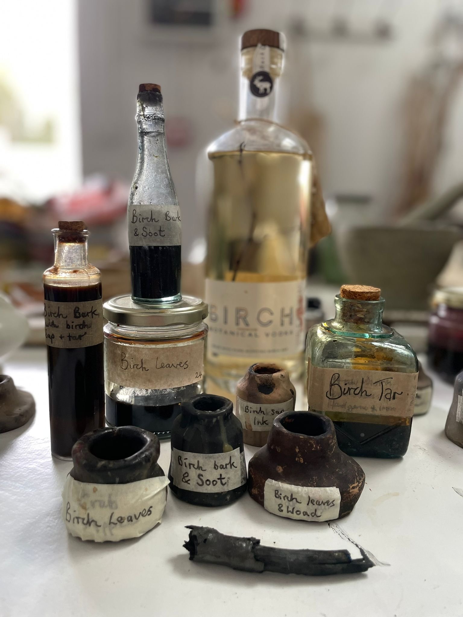 Trysting Trees: BIRCH, 13th March, LOGIE STEADING (FORRES)