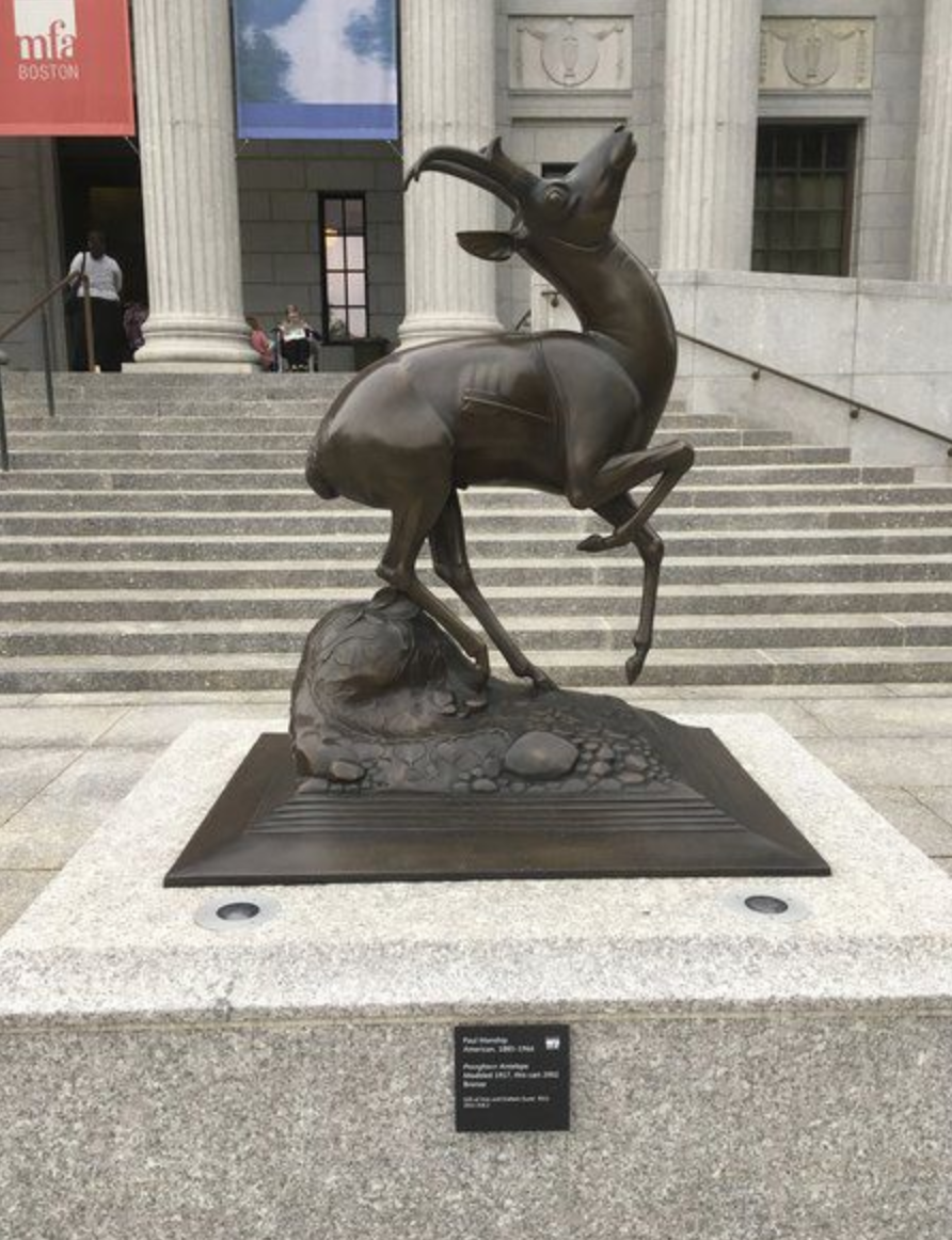 Andrea Holbrook / Staff photo. Paul Manship’s “Pronghorn Antelope,” modeled in 1917, located outside the Museum of Fine Arts Boston’s Fenway entrance.