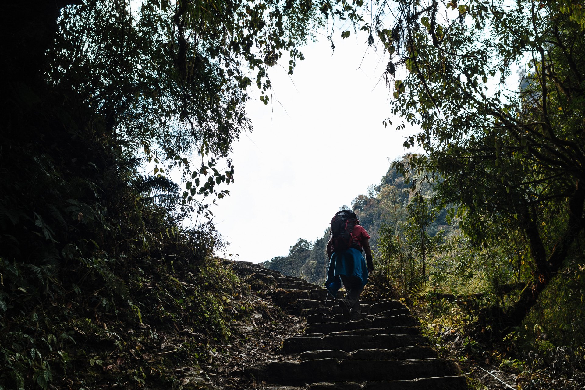 20161120-1230-Nepal_2016-Karl_Delandsheere.jpg